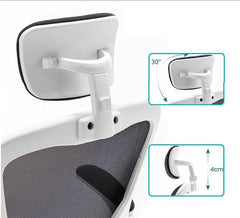 Ergonomic Mesh Office Chair: Comfortable, Adjustable, and Modern Ergonomic Mesh Office Chair: Comfortable, Adjustable, and Modern - auloves