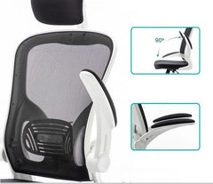 Ergonomic Mesh Office Chair: Comfortable, Adjustable, and Modern - auloves