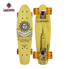 22'' 57cm Four Seasons New Beginners Penny Board Cruiser Skateboard Complete Sets Light Up Wheels - auloves