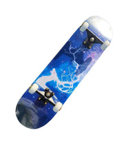 31'' 80CM Flash Elk Colourful Grip NEW Sealed Skateboard Professional Tyre Wheels - auloves