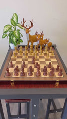 Deluxe 52*52cm Super Large Chess Set Walnut Wooden Timber Oak Folding Chessboard Gloss Pieces