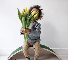 Balance Board Small with Colourful Felt Kids Children - auloves